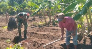 Babinsa Beurawang Turun ke Kebun, Bantu Warga Buat Bedengan Sayur—Aksi Sederhana Wujud Kemanunggalan!
