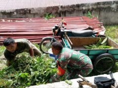 Humanis dan Merakyat, Babinsa Keuneukai Tunjukkan Kepedulian Nyata, Bantu Cari Pakan Ternak Warga