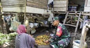 Inspiratif, Babinsa Krueng Raya Luangkan Waktu Bantu Petani Kupas Pinang di Tengah Kesibukan