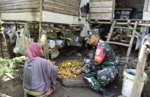 Inspiratif, Babinsa Krueng Raya Luangkan Waktu Bantu Petani Kupas Pinang di Tengah Kesibukan