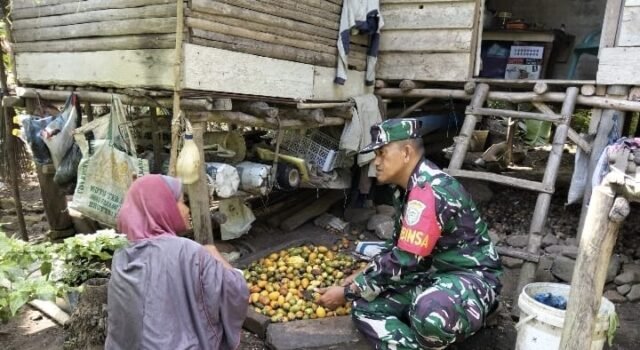 Inspiratif, Babinsa Krueng Raya Luangkan Waktu Bantu Petani Kupas Pinang di Tengah Kesibukan