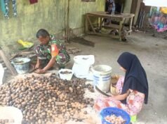 Babinsa Koramil 01/Sukajaya Bantu Warga Olah Pinang, Dorong Peningkatan Ekonomi Desa