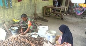 Babinsa Koramil 01/Sukajaya Bantu Warga Olah Pinang, Dorong Peningkatan Ekonomi Desa