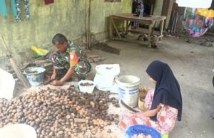 Babinsa Koramil 01/Sukajaya Bantu Warga Olah Pinang, Dorong Peningkatan Ekonomi Desa