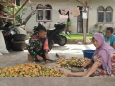 Babinsa Koramil 02/Sukakarya Aktif Dukung Peningkatan Hasil Pertanian, Hadir Langsung Bantu Warga di Lapangan