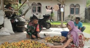 Babinsa Koramil 02/Sukakarya Aktif Dukung Peningkatan Hasil Pertanian, Hadir Langsung Bantu Warga di Lapangan