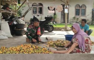 Babinsa Koramil 02/Sukakarya Aktif Dukung Peningkatan Hasil Pertanian, Hadir Langsung Bantu Warga di Lapangan