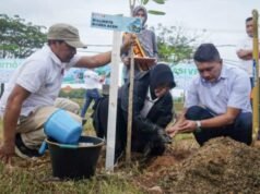 Wali Kota dan Wakil Wali Banda Aceh Tanam pohon Di kilo Meter Nol Dan Kampung Lampulo Banda Aceh