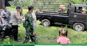 Babinsa Koramil 02/Sukakarya Dampingi Penyerahan Sapi BUMG, Wujudkan Pemberdayaan Ekonomi Warga