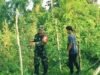 Motivasi dari Babinsa, Petani Krueng Raya Kian Optimis Tingkatkan Hasil Panen Kacang Panjang