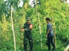 Motivasi dari Babinsa, Petani Krueng Raya Kian Optimis Tingkatkan Hasil Panen Kacang Panjang