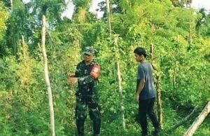 Motivasi dari Babinsa, Petani Krueng Raya Kian Optimis Tingkatkan Hasil Panen Kacang Panjang