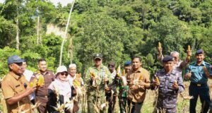 Sekda Sabang Dorong Pengembangan Jagung Pipil, Panen Perdana BUMG Tahareukat Capai Dua Ton