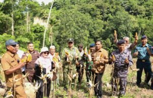 Sekda Sabang Dorong Pengembangan Jagung Pipil, Panen Perdana BUMG Tahareukat Capai Dua Ton