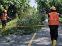 Babinsa Koramil 01/Sukajaya Bantu Petugas PLN Pangkas Dahan Pohon Demi Kelancaran Listrik Warga
