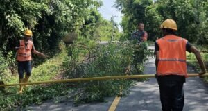 Babinsa Koramil 01/Sukajaya Bantu Petugas PLN Pangkas Dahan Pohon Demi Kelancaran Listrik Warga