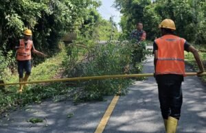 Babinsa Koramil 01/Sukajaya Bantu Petugas PLN Pangkas Dahan Pohon Demi Kelancaran Listrik Warga