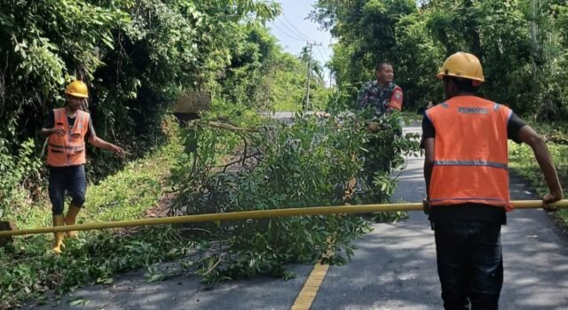 Babinsa Koramil 01/Sukajaya Bantu Petugas PLN Pangkas Dahan Pohon Demi Kelancaran Listrik Warga