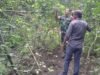 Lahan Kosong Jadi Produktif, Babinsa Koramil 01/Sukajaya Hadir Dampingi Petani Kacang Panjang