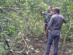 Lahan Kosong Jadi Produktif, Babinsa Koramil 01/Sukajaya Hadir Dampingi Petani Kacang Panjang