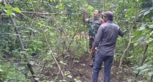 Lahan Kosong Jadi Produktif, Babinsa Koramil 01/Sukajaya Hadir Dampingi Petani Kacang Panjang