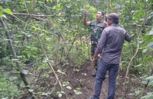 Lahan Kosong Jadi Produktif, Babinsa Koramil 01/Sukajaya Hadir Dampingi Petani Kacang Panjang