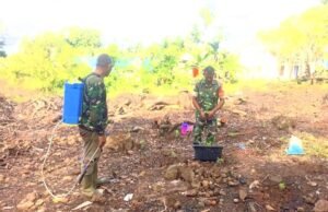 Babinsa Koramil 01/Sukajaya Aktif Dampingi Petani, Tanam Nilam Jadi Harapan Baru Tingkatkan Ekonomi Warga