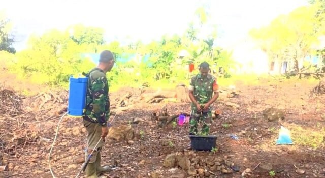 Babinsa Koramil 01/Sukajaya Aktif Dampingi Petani, Tanam Nilam Jadi Harapan Baru Tingkatkan Ekonomi Warga
