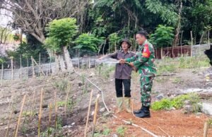 Langkah Nyata Dukung Ketahanan Pangan, Babinsa Kuta Barat Bantu Penyiraman dan Perawatan Tanaman Cabai Warga