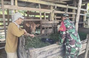 Babinsa Koramil 02/Sukakarya Laksanakan Pemantauan Ternak Warga, Tekankan Kebersihan Kandang