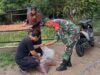 Babinsa Aneuk Laot Dampingi Proses Pengeringan Kakao, Tingkatan Kualitas Hasil Produksi Kakao Lokal