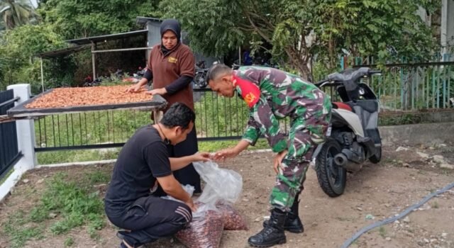 Babinsa Aneuk Laot Dampingi Proses Pengeringan Kakao, Tingkatan Kualitas Hasil Produksi Kakao Lokal