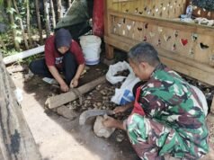 Bangun Kedekatan, Babinsa Koramil 02/Sukakarya Ikut Kupas Pinang Bersama Warga di Gampong Paya Seunara