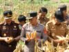 Panen Jagung Kuartal II di Paya Seunara, Perkuat Ketahanan Pangan Daerah