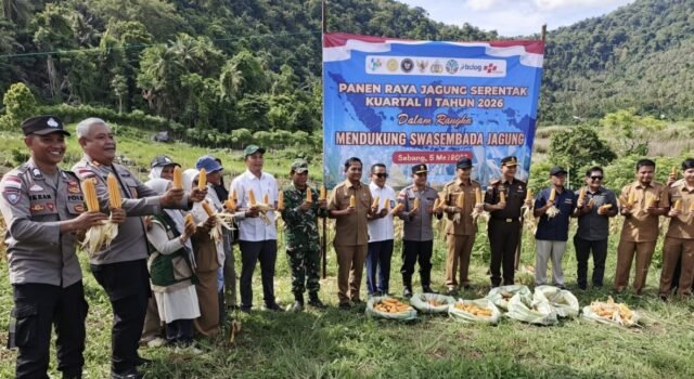Kodim 0112/Sabang Ikut Serta Dukung Ketahanan Pangan Melalui Panen Raya Jagung Pipil di Paya Seunara