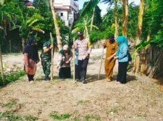 Babinsa Koramil 02/Sukakarya Bersama Bhabinkamtibmas dan Aparatur Gampong Tanam Jagung, Perkuat Ketahanan Pangan di Kuta Ateuh