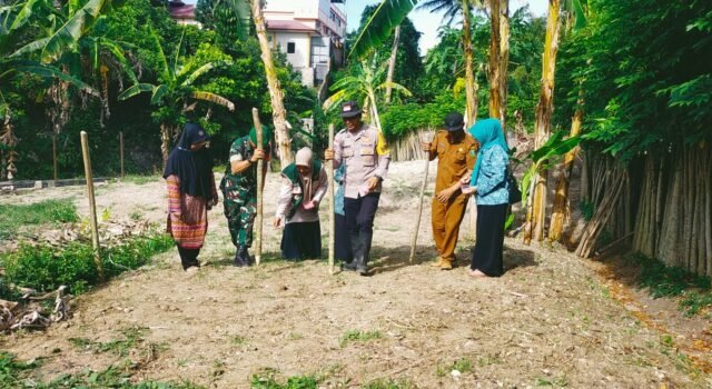 Babinsa Koramil 02/Sukakarya Bersama Bhabinkamtibmas dan Aparatur Gampong Tanam Jagung, Perkuat Ketahanan Pangan di Kuta Ateuh