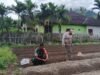 Semangat Swasembada Pangan, Babinsa Jaboi Bantu Petani Siapkan Lahan Cabai