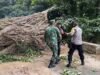 Pohon Tumbang Halangi Jalan, Babinsa Aneuk Laot Ikut Gotong Royong Pembersihan Jalan