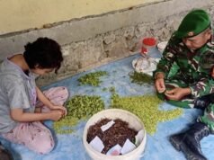 Babinsa Batee Shoek Bantu Warga Sortir Cengkeh, Wujud Nyata TNI Hadir di Tengah Rakyat