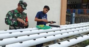 Pendampingan Babinsa Koramil 02/Sukakarya Bantu Petani Tingkatkan Semangat Bertani Modern Melalui Hidroponik