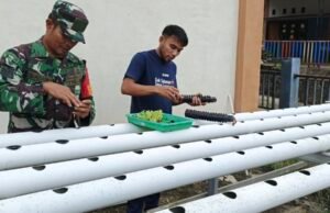 Pendampingan Babinsa Koramil 02/Sukakarya Bantu Petani Tingkatkan Semangat Bertani Modern Melalui Hidroponik