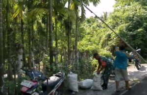 Babinsa dan Warga Panen Pinang Bersama, Wujud Nyata Kedekatan TNI dengan Rakyat