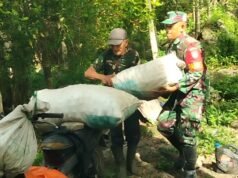 Panen Berkah, Babinsa Krueng Raya Hadir Membantu Petani, Berikan Semangat dan Bantuan Nyata