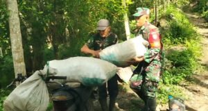 Panen Berkah, Babinsa Krueng Raya Hadir Membantu Petani, Berikan Semangat dan Bantuan Nyata