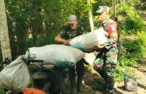 Panen Berkah, Babinsa Krueng Raya Hadir Membantu Petani, Berikan Semangat dan Bantuan Nyata