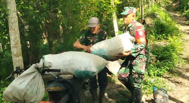 Panen Berkah, Babinsa Krueng Raya Hadir Membantu Petani, Berikan Semangat dan Bantuan Nyata