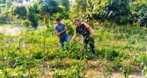 “Investasi di Lahan Sempit, Untung Berlipat: Kisah Sukses Pak Yusuf Didampingi Babinsa Koramil 02/Sukakarya”