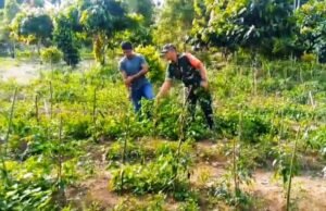 “Investasi di Lahan Sempit, Untung Berlipat: Kisah Sukses Pak Yusuf Didampingi Babinsa Koramil 02/Sukakarya”