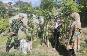 Dukung Ketahanan Pangan Warga, Babinsa Kuta Ateuh Salurkan Pupuk Kandang dan Lakukan Pendampingan